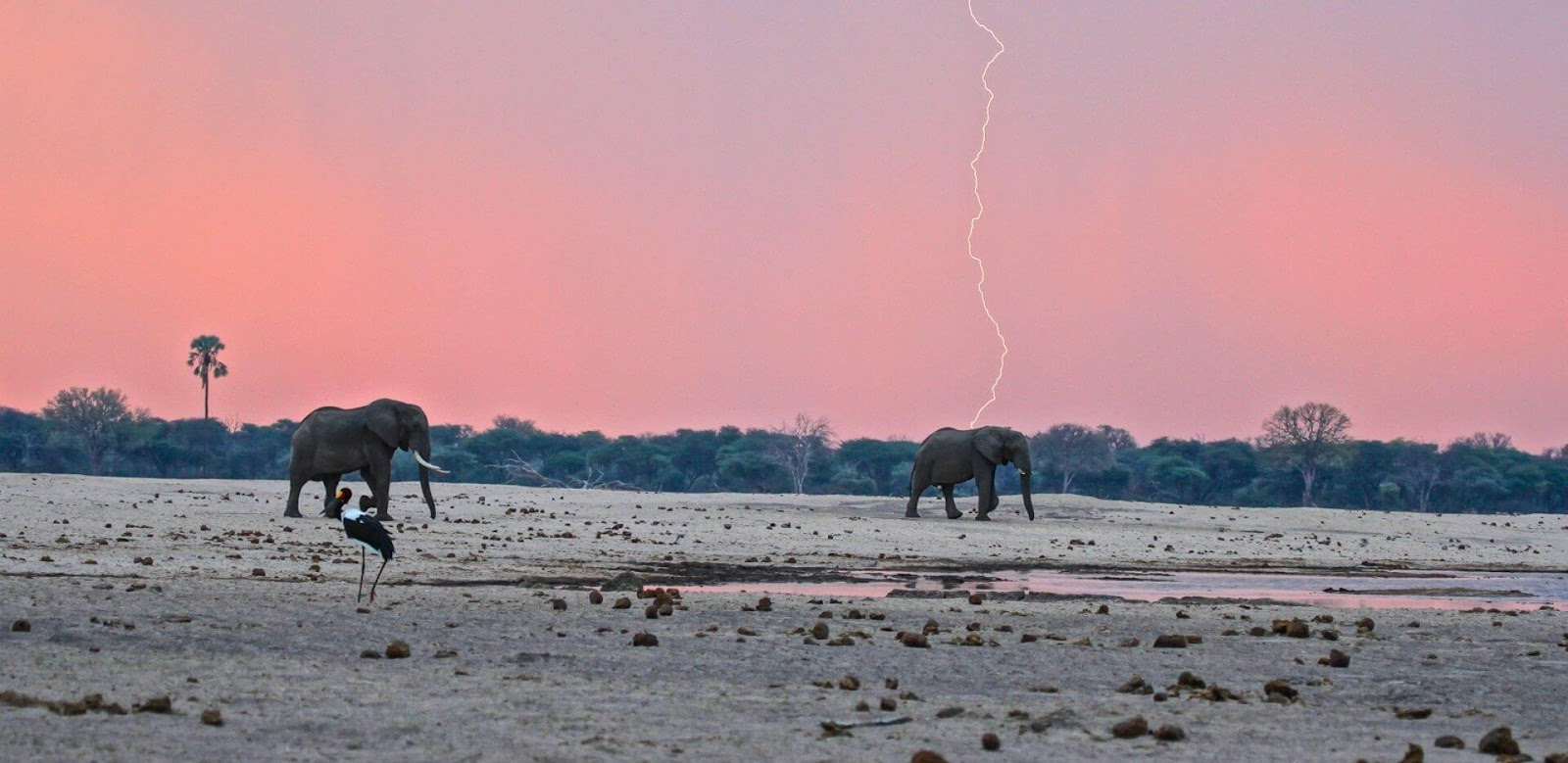 Challenges of Land Use in Zimbabwe's Conservation Efforts