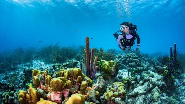 advanced open water course phuket – Upgrade Your Skills with Advanced Open Water Course Phuket